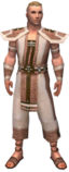 Monk Elite Saintly armor m.jpg
