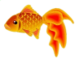 User AislingDubh goldfish.png