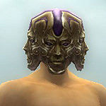 Vision of Lyssa costume m purple front head.jpg