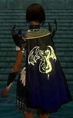 Guild The Angels And Shadows Project cape.jpg