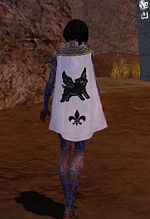 Guild The Rising Knights cape.jpg