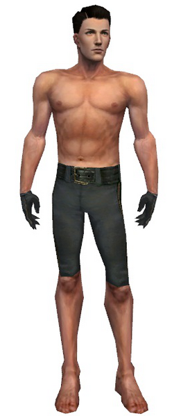 File:Mesmer Elite Noble armor m black front arms legs.png