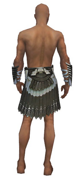 File:Paragon Elite Sunspear armor m gray back arms legs.png
