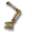 Skeleton Bone
