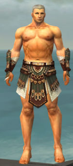 Warrior Vabbian armor m gray front arms legs.jpg