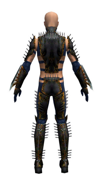 File:Assassin Exotic armor m dyed back.jpg