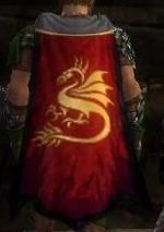 Guild majestic dragons cape.jpg