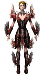 Necromancer Primeval armor f dyed front.jpg