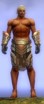 Warrior Elite Sunspear armor m gray front arms legs.jpg