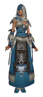 Dervish Norn armor f dyed front.png