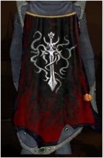 Guild Knights Of The Neworder cape.jpg