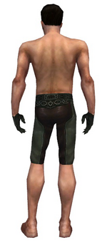 Mesmer Istani armor m gray back arms legs.png