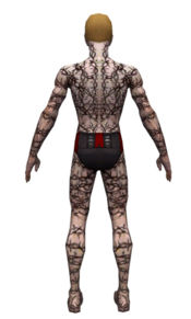 Necromancer Elite Scar Pattern armor m dyed back.jpg