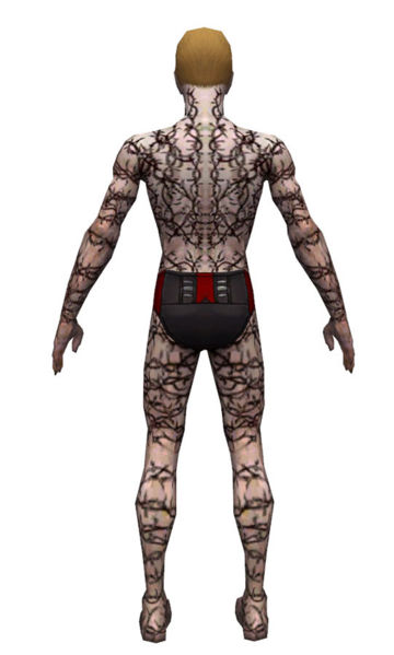 File:Necromancer Elite Scar Pattern armor m dyed back.jpg