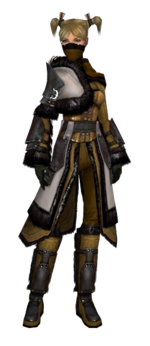 Ranger Norn armor f dyed front.png