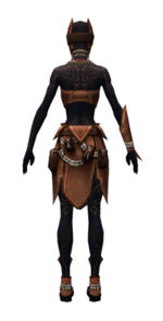 Ritualist Kurzick armor f dyed back.jpg