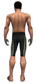 Mesmer Elite Canthan armor m gray back arms legs.png