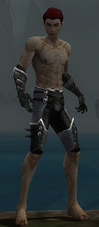 Necromancer Kurzick armor m gray front arms legs.jpg