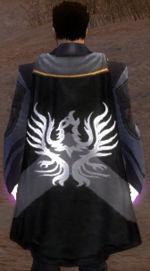 Guild The Knights Of Torment cape.jpg
