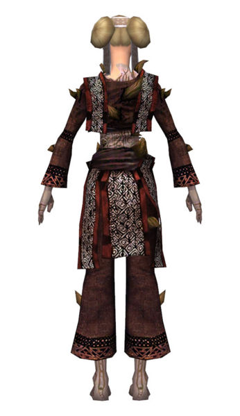 File:Monk Primeval armor f dyed back.jpg