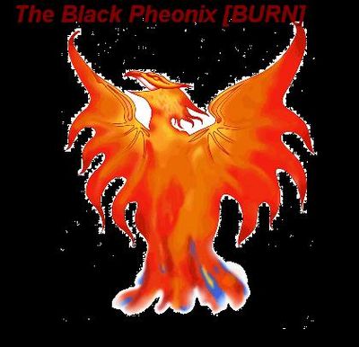 Guild The Black Pheonix banner.jpg