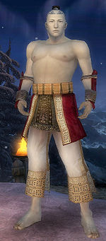Monk Vabbian armor m Red front arms legs.jpg