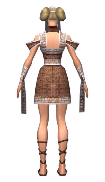 File:Monk Woven armor f dyed back.jpg
