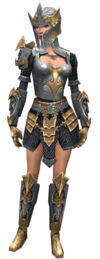 Warrior Elite Templar armor f.jpg