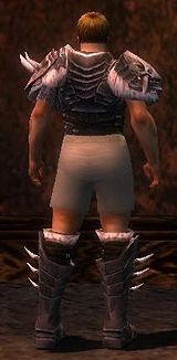 Warrior Norn armor m gray back chest feet.jpg