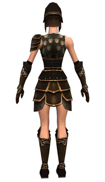 File:Warrior Shing Jea armor f dyed back.jpg