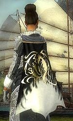 Guild Legend Of Searing cape.jpg