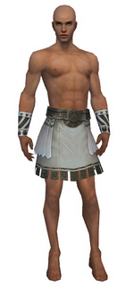 Paragon Istani armor m gray front arms legs.png
