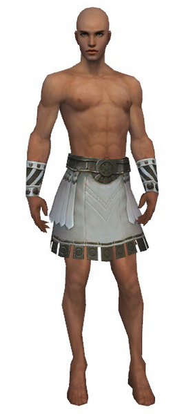 File:Paragon Istani armor m gray front arms legs.png