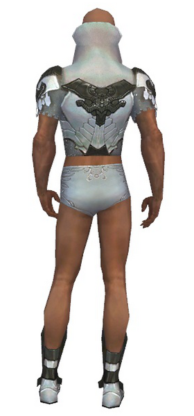 File:Paragon Elonian armor m gray back chest feet.png