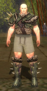 Warrior Elite Charr Hide armor m gray front chest feet.jpg