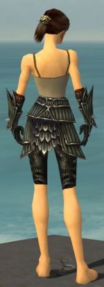 Warrior Wyvern armor f gray back arms legs.jpg