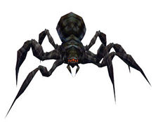 Black Widow - Guild Wars Wiki (GWW)