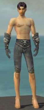 Elementalist Stoneforged armor m gray front arms legs.jpg