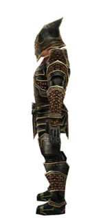 Warrior Kurzick armor m dyed left.jpg
