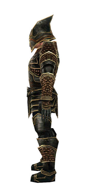 File:Warrior Kurzick armor m dyed left.jpg