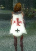 Guild Praetorian Templars cape.jpg