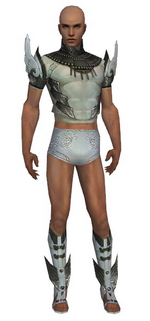 Paragon Vabbian armor m gray front chest feet.png