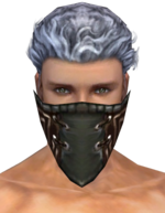Ranger Istani Mask m gray front.png