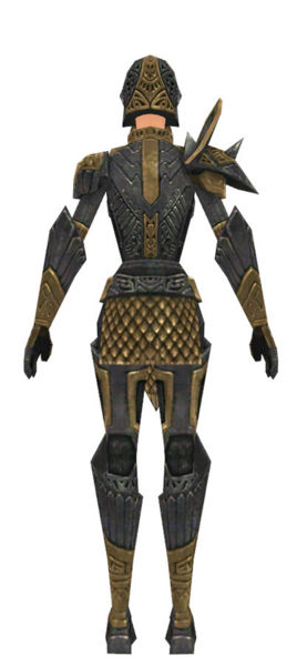 File:Warrior Elite Platemail armor f dyed back.jpg