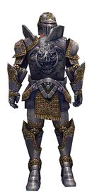 Warrior Platemail armor m.jpg