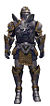 Warrior Platemail armor m.jpg