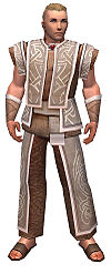 Monk Tyrian armor m.jpg