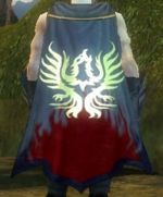 Guild Brothers Of The Mystic Circle cape.jpg