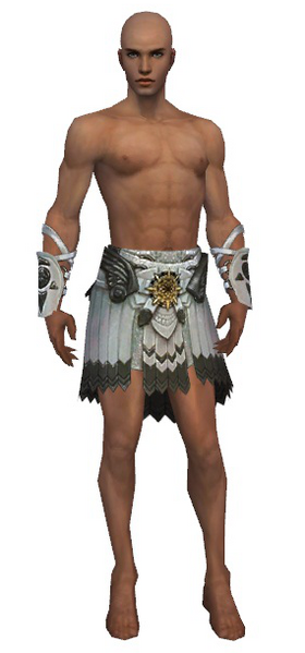 File:Paragon Sunspear armor m gray front arms legs.png
