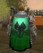 Guild Order Of Blades And The Arcane cape.jpg
